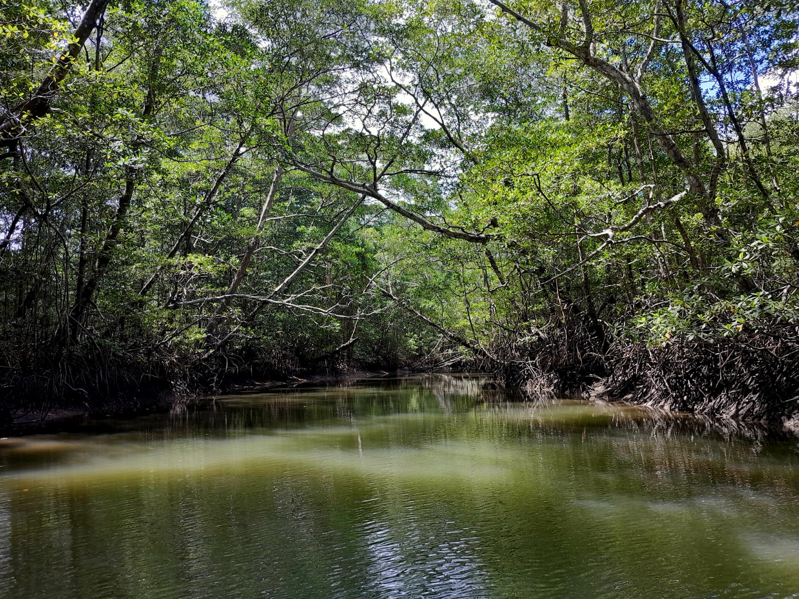ALOCUCIÓN DÍA MUNDIAL DEL MEDIO AMBIENTE