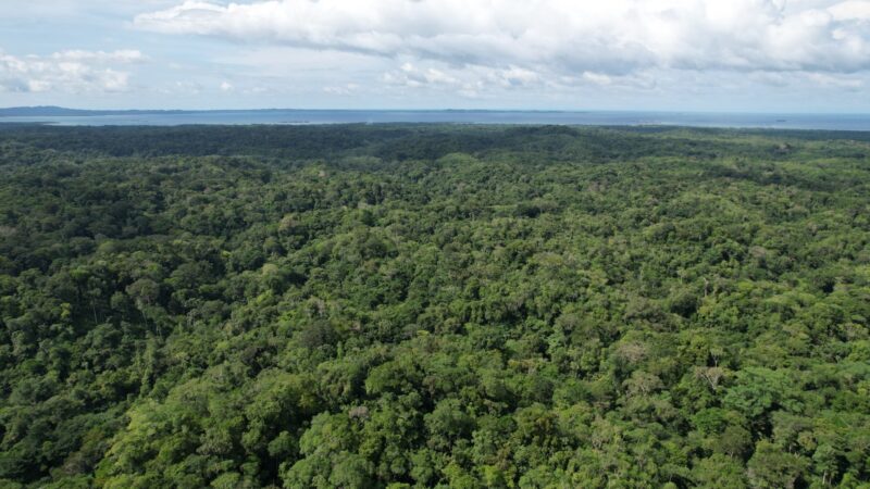 Panamá será sede del 3er. Congreso Regional CCAD y 3er. Congreso Nacional de Restauración Forestal y Biodiversidad