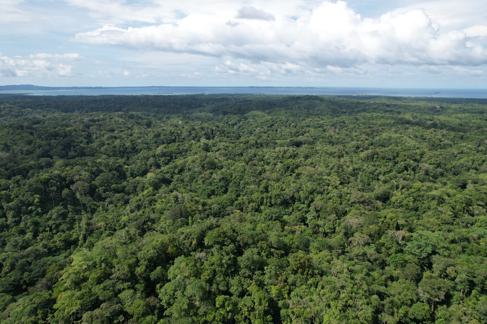 Panamá será sede del 3er. Congreso Regional CCAD y 3er. Congreso Nacional de Restauración Forestal y Biodiversidad