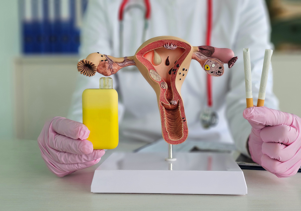 La creciente moda del vapeo, en el punto de mira en la salud reproductiva en mujeres, hombres y jóvenes