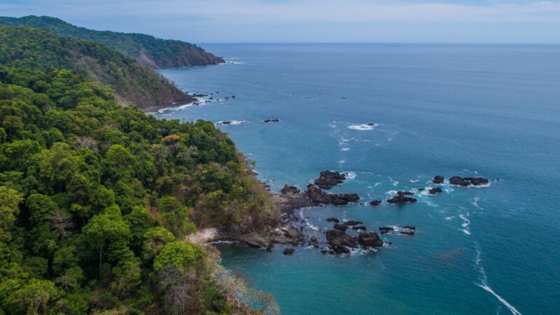 Nature Pledge y Fondo Panamá Natural: dos apuestas panameñas para proteger la biodiversidad