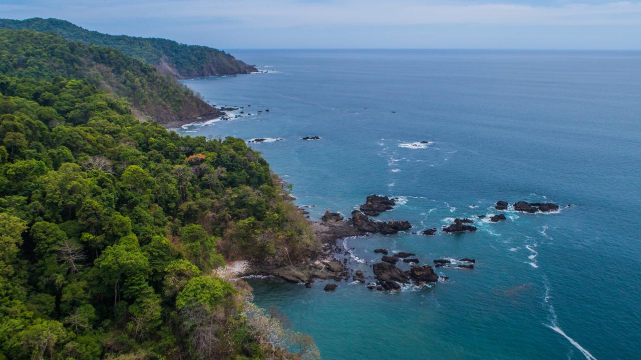 Nature Pledge y Fondo Panamá Natural: dos apuestas panameñas para proteger la biodiversidad