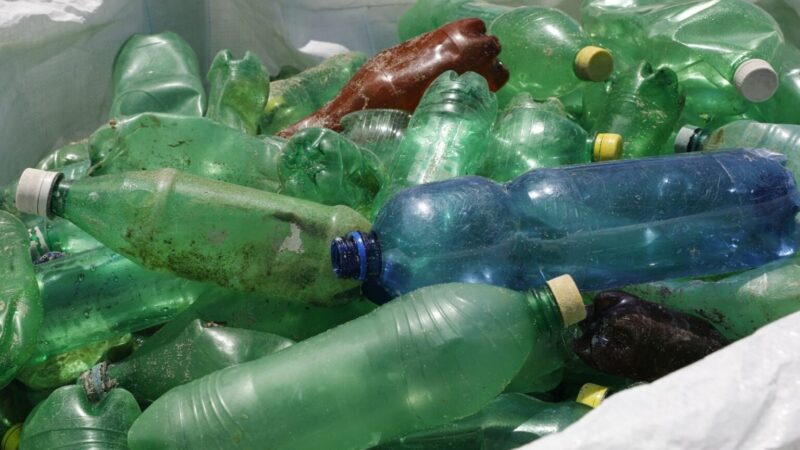 MiAMBIENTE prohíbe el uso de plásticos y foam en las áreas protegidas del país a partir de enero de 2026