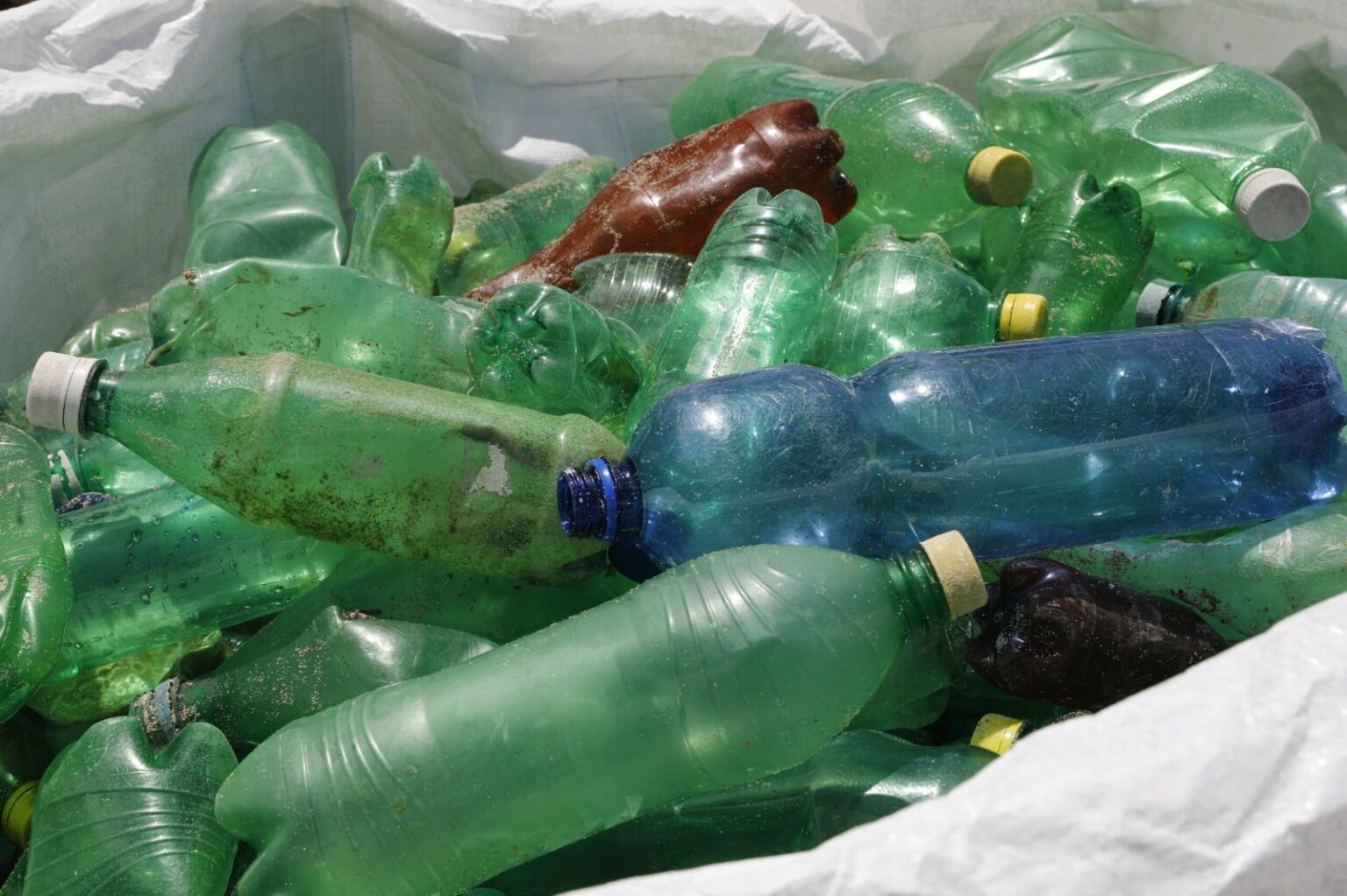 MiAMBIENTE prohíbe el uso de plásticos y foam en las áreas protegidas del país a partir de enero de 2026