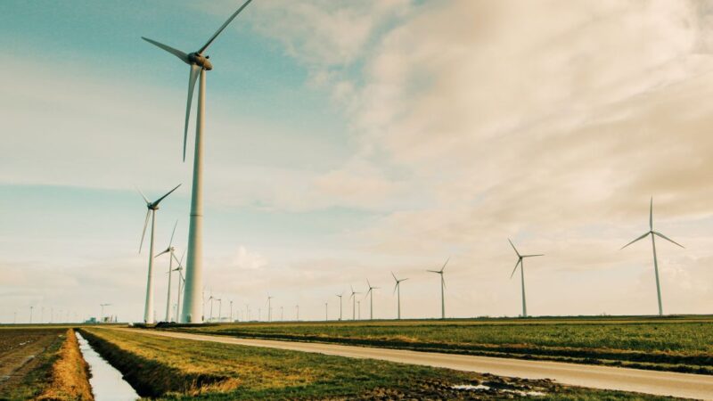 Día Mundial de la Eficiencia Energética: avances empresariales impulsan la reducción de emisiones en Panamá  